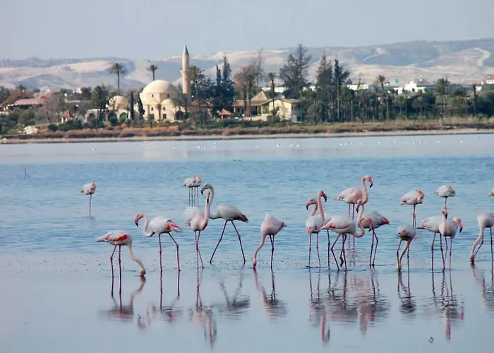 Апартаменти Penelope Court 102